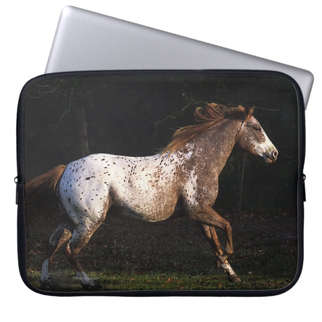 Appaloosa-Pferd, das 4 laufen lässt Laptopschutzhülle (Vorderseite)