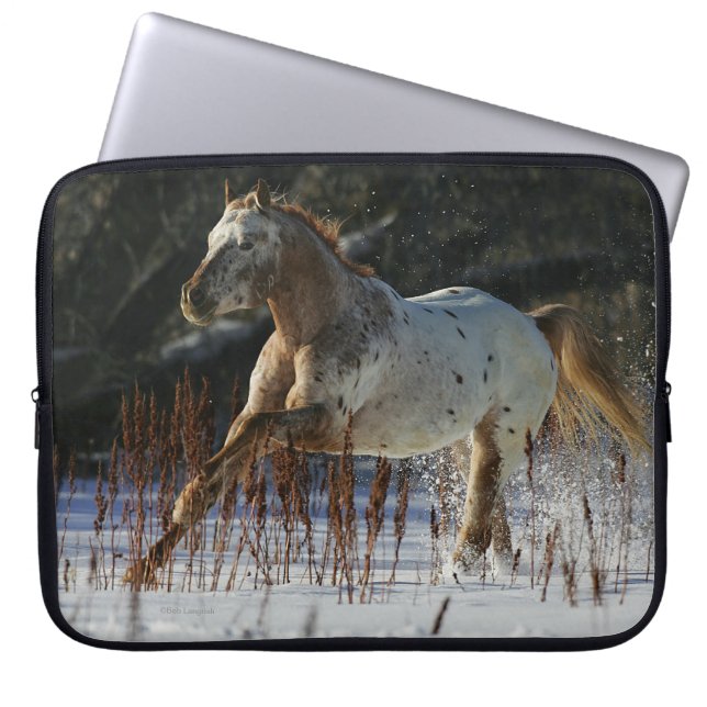 Appaloosa-Pferd, das in den Schnee läuft Laptopschutzhülle (Vorderseite)