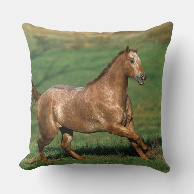 Appaloosa-Pferd, das in grasartiges Feld läuft Kissen (Vorderseite)