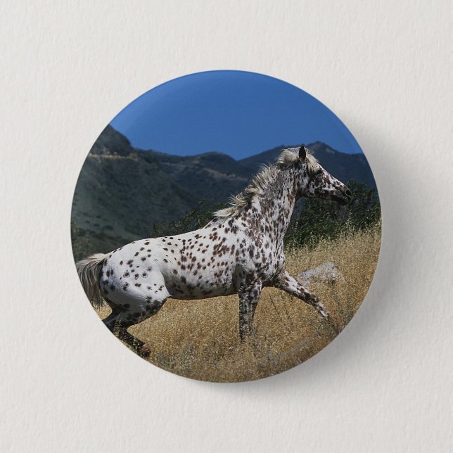 Appaloosa-Pferd, das oben Berg laufen lässt Button (Vorderseite)