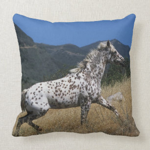 Appaloosa-Pferd, das oben Berg laufen lässt Kissen