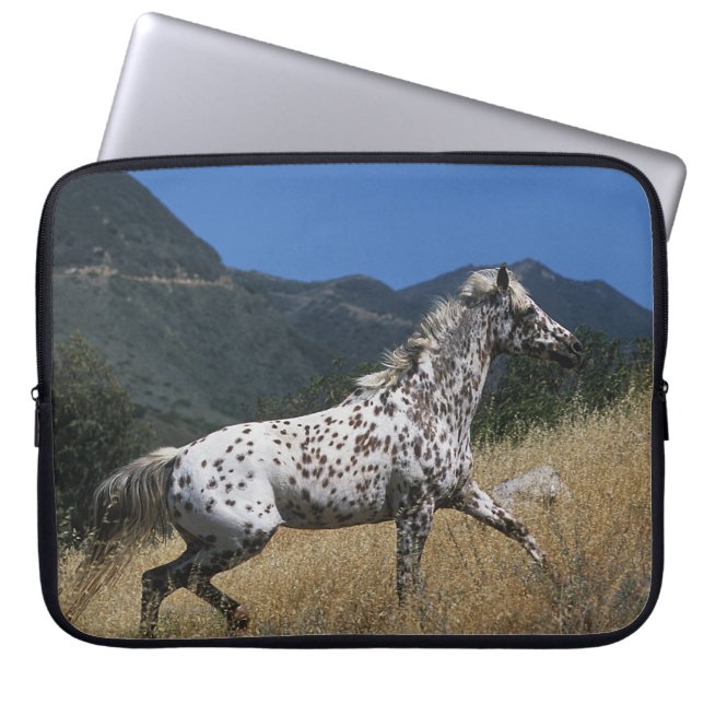 Appaloosa-Pferd, das oben Berg laufen lässt Laptopschutzhülle (Vorderseite)