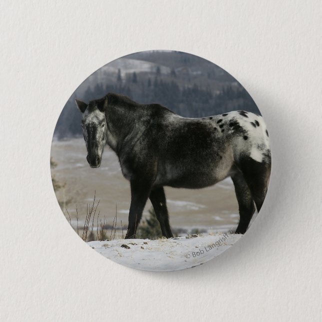 Appaloosa-Pferd im Schnee Button (Vorderseite)
