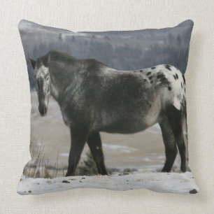 Appaloosa-Pferd im Schnee Kissen