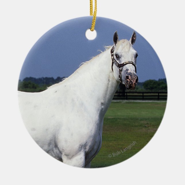 Appaloosa-Pferd Keramikornament (Vorne)