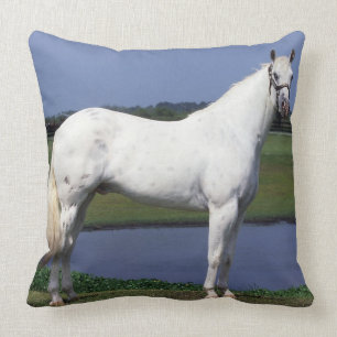 Appaloosa-Pferd Kissen