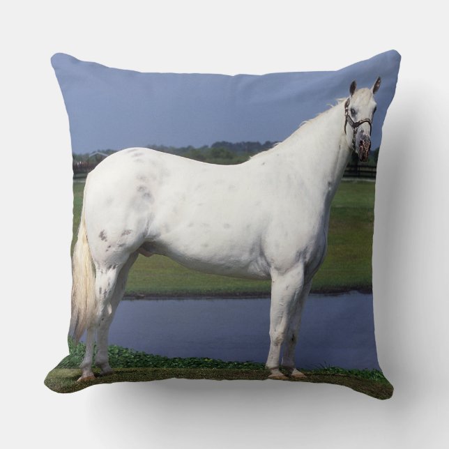 Appaloosa-Pferd Kissen (Vorderseite)