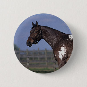 Appaloosa-Pferd stehend Button