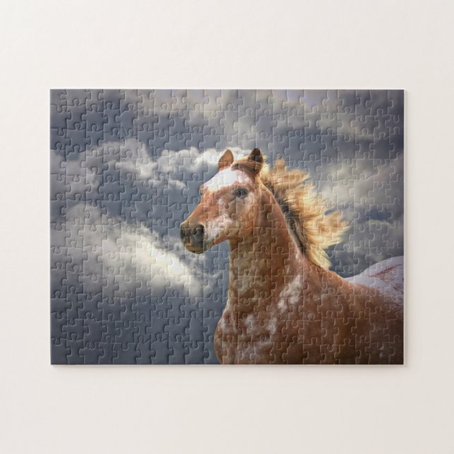 Appaloosa Pferd und Wolken (Horizontal)