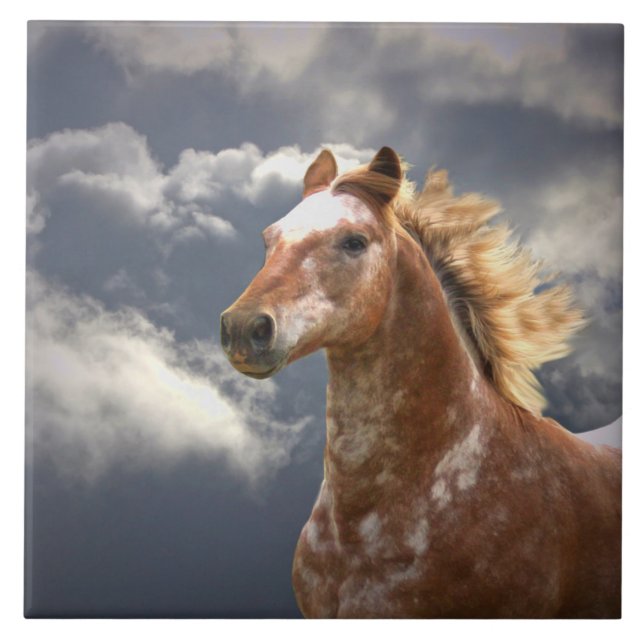 Appaloosa Pferd und Wolken Fliese (Vorderseite)
