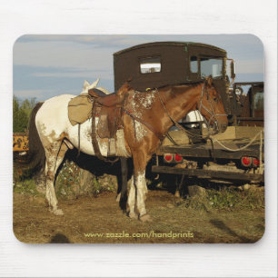 Appaloosa Pferde Equine Western Design Mousepad