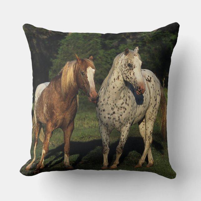Appaloosa-Pferde Kissen (Vorderseite)