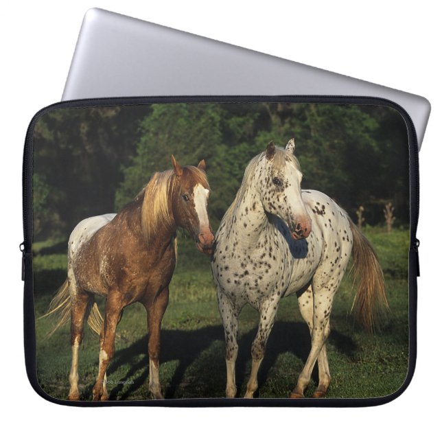 Appaloosa-Pferde Laptopschutzhülle (Vorderseite)
