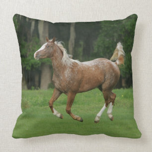 Appaloosa-Pferdebetrieb Kissen