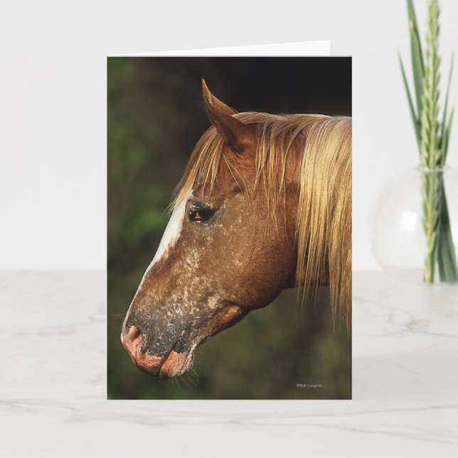 Appaloosa-PferdeHeadshot 1 Karte (Vorderseite)