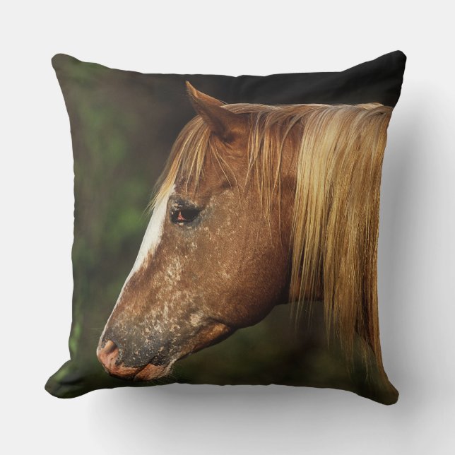 Appaloosa-PferdeHeadshot 1 Kissen (Vorderseite)