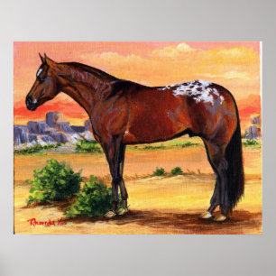 Appaloosa-Profil-Pferdeporträt Poster