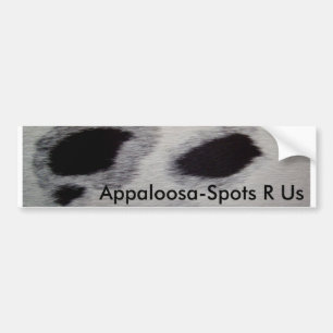 Appaloosa-Stellen R wir Autoaufkleber