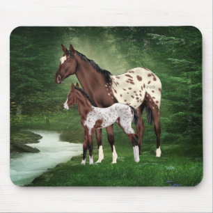 Appaloosa-Stute-Fohlen Geflecktes Pferd Western Ar Mousepad
