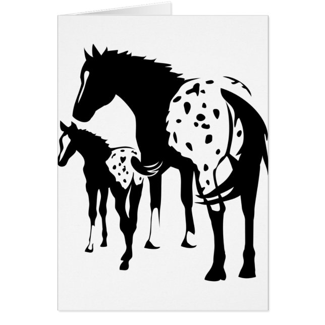 Appaloosa-Stute und Fohlen (Vorne)