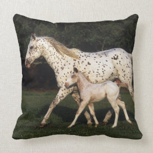 Appaloosa-Stute und Fohlen auf dem Gebiet Kissen