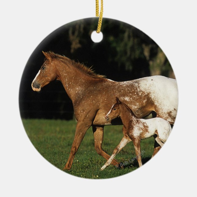 Appaloosa-Stute und Fohlen Keramikornament (Vorne)