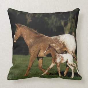 Appaloosa-Stute und Fohlen Kissen