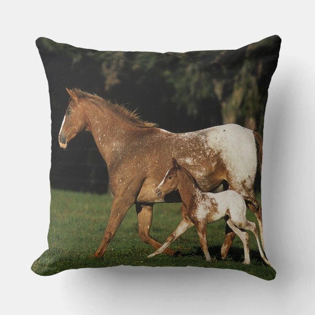 Appaloosa-Stute und Fohlen Kissen (Vorderseite)