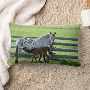 Appaloosa-Stute und Fohlen Lendenkissen
