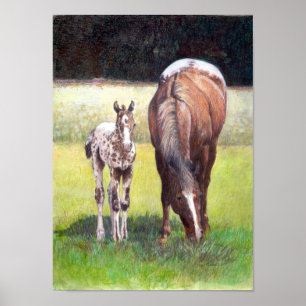 Appaloosa-Stute und Fohlen-Porträt Poster