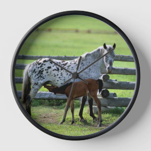 Appaloosa-Stute und Fohlen Uhr