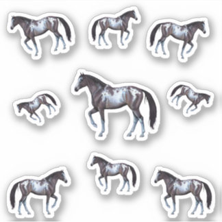 Appaloosa Westernpferd Stute | Illustration - Aufkleber