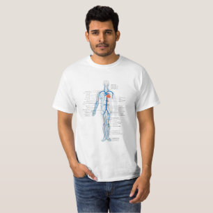 Appareil circulatoire humain de T-shirt des veines