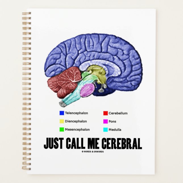 Appelez-Moi Cérébral Cerveau Humour (Devant)