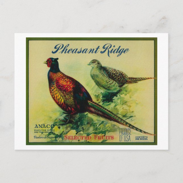 Appellettkiste für Fasan Ridge Postkarte (Vorderseite)