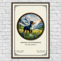 Appenzeller Sennenhund Zoologie-Serie