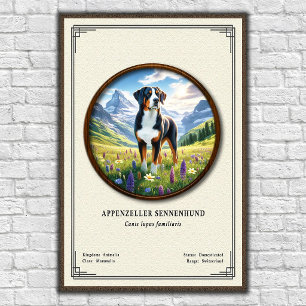 Appenzeller Sennenhund Zoologie-Serie Poster