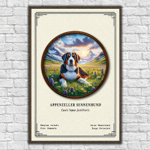 Appenzeller Sennenhund Zoologie-Serie Poster