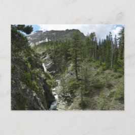 Appistoki Falls and Peak at Glacier National Park Postkarte