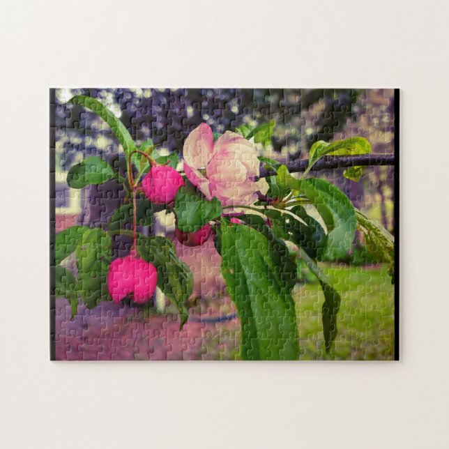 APPLE BLOSSOM (Horizontal)