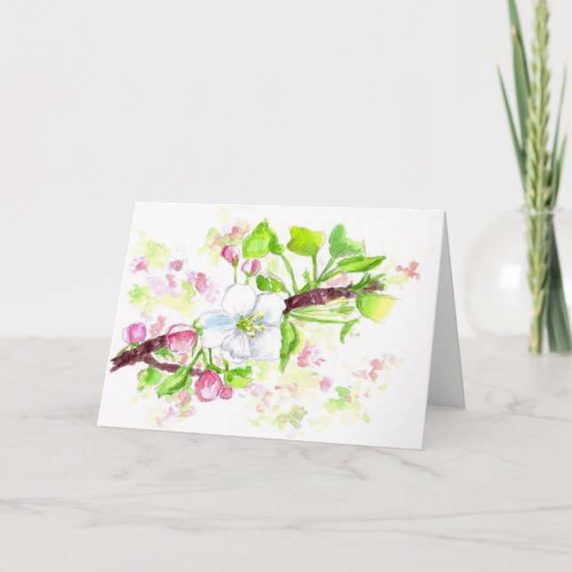 Apple Blossom Aquarell Blume Grußkarte Karte (Vorderseite)