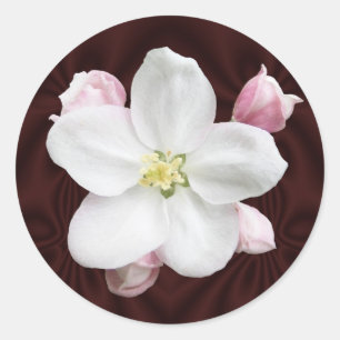 Apple Blossom ~ Aufkleber