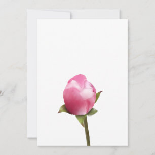 Apple Blossom Bud Feiertagskarte