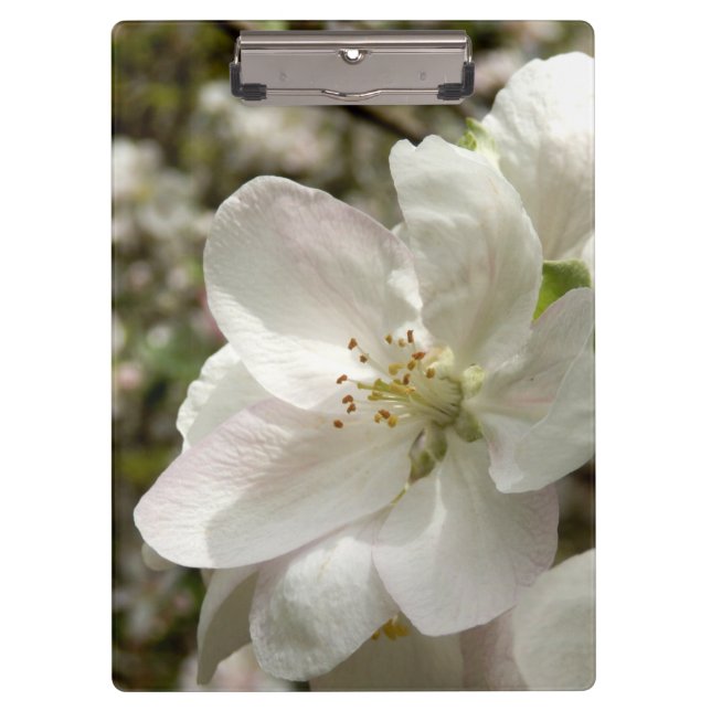Apple Blossom Clipboard Klemmbrett (Vorderseite)