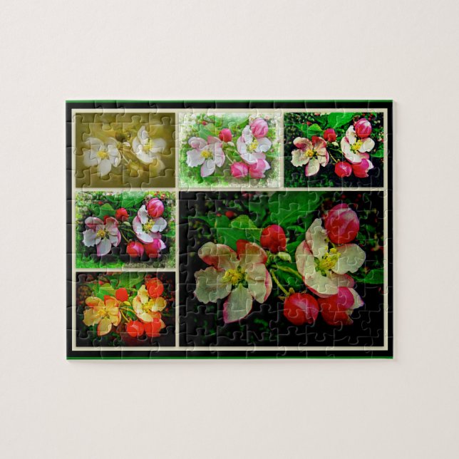 Apple Blossom Collage - Verbessertes digitales Fot (Horizontal)