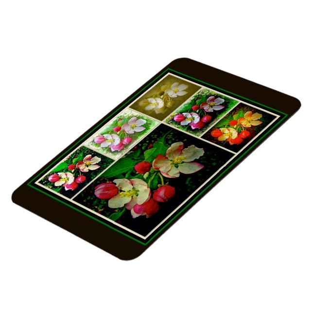 Apple Blossom Collage - Verbessertes digitales Fot Magnet (Linke Seite)