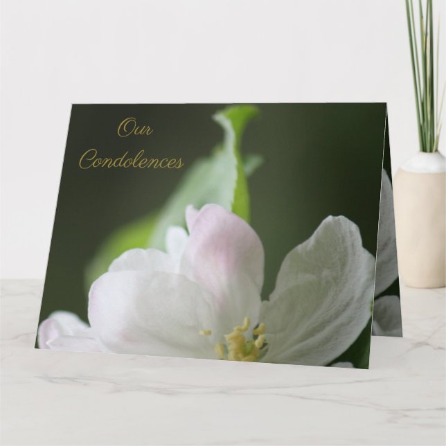 Apple Blossom Condolence Card Karte (Vorderseite)