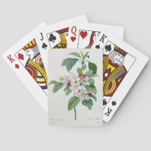 Apple Blossom, from 'Les Choix des Plus Belles Spielkarten