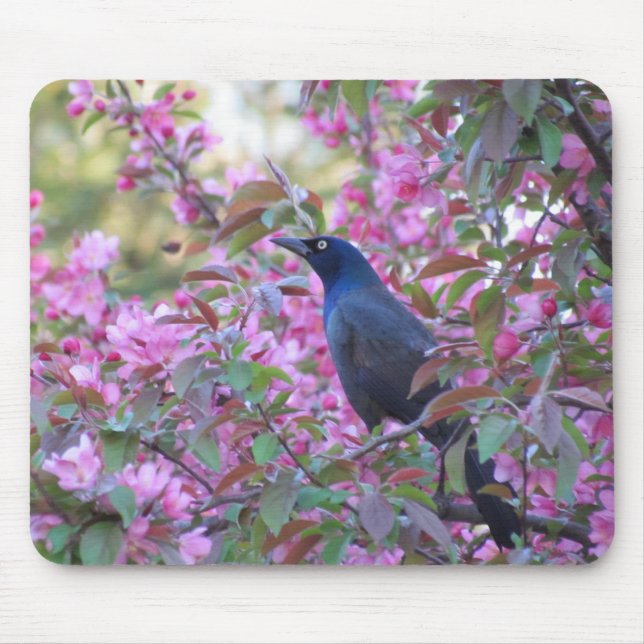 Apple Blossom Grackle Mousepad (Vorne)