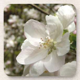 Apple Blossom Hard Plastic Untersetzer
